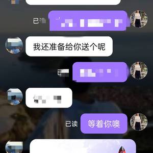 10-20T挖掘机